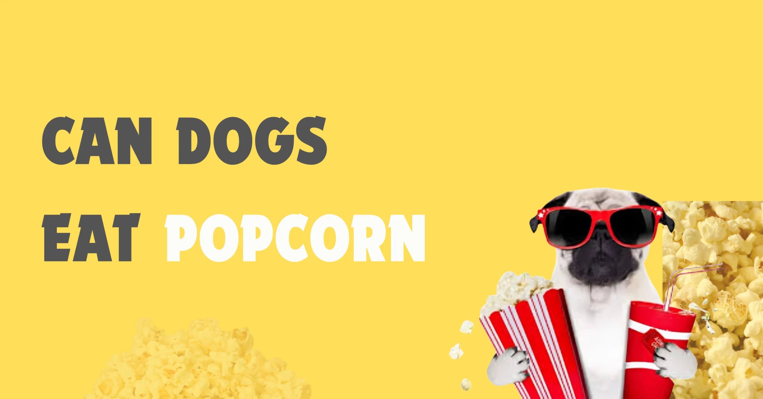 can dogs eat popcorn